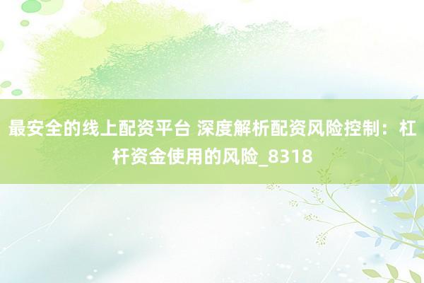 最安全的线上配资平台 深度解析配资风险控制：杠杆资金使用的风险_8318